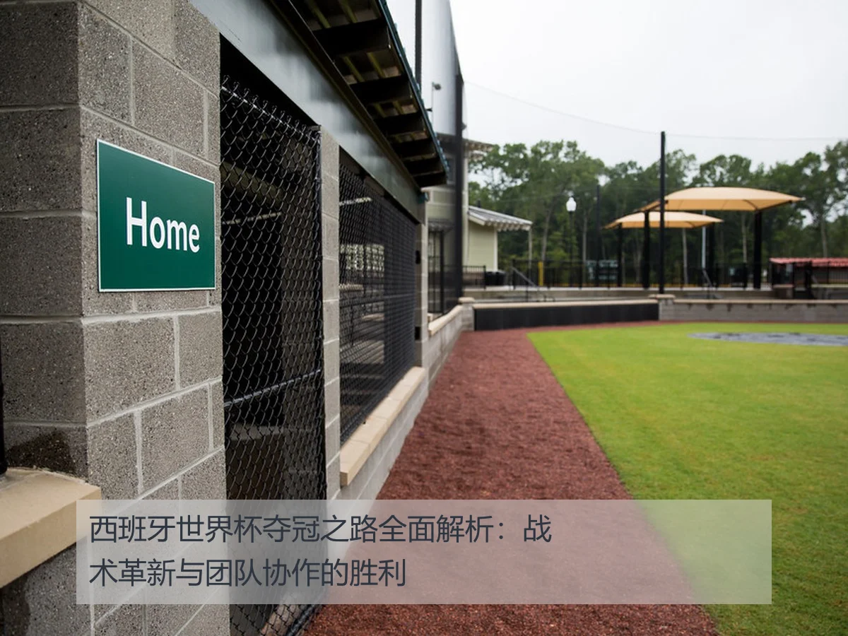 西班牙世界杯夺冠之路全面解析:战术革新与团队协作的胜利